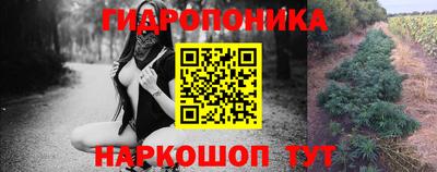 гашик Вышний Волочёк