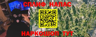 прущие крисы Вязьма