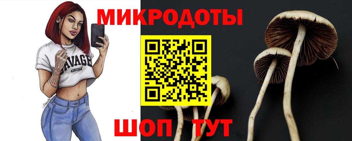 Галлюциногенные грибы Magic Shrooms Аргун